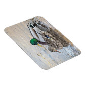 Magnet Flexible Portrait d'un mâle et d'une femelle (Côté Droit)