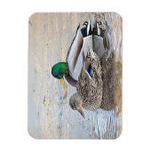 Magnet Flexible Portrait d'un mâle et d'une femelle (Vertical)