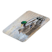 Magnet Flexible Portrait d'un mâle et d'une femelle (Côté Gauche)