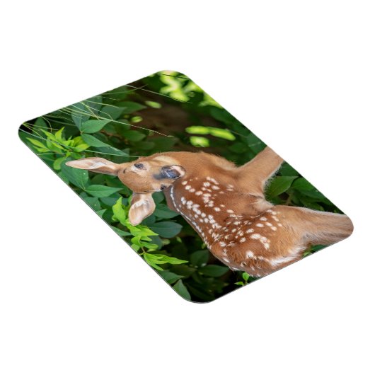 Magnet Flexible Portrait d'un nouveau-né (cerf de Virginie) (Côté Droit)