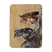 Magnet Flexible Pose de l'arbre à vis de l'est (Vertical)