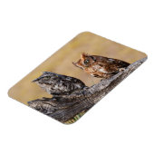 Magnet Flexible Pose de l'arbre à vis de l'est (Côté Gauche)