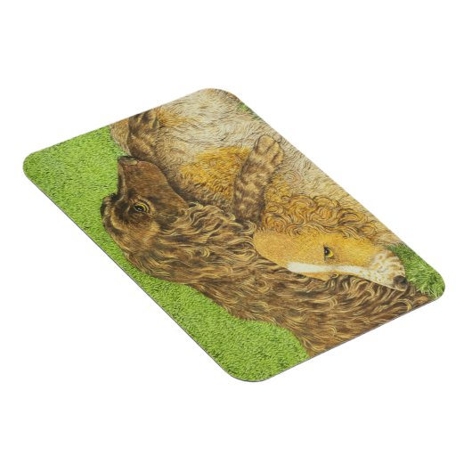 Magnet Flexible Possession (Côté Droit)