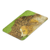 Magnet Flexible Possession (Côté Gauche)