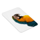 Magnet Flexible Post-it Notes perroquet (Côté Droit)