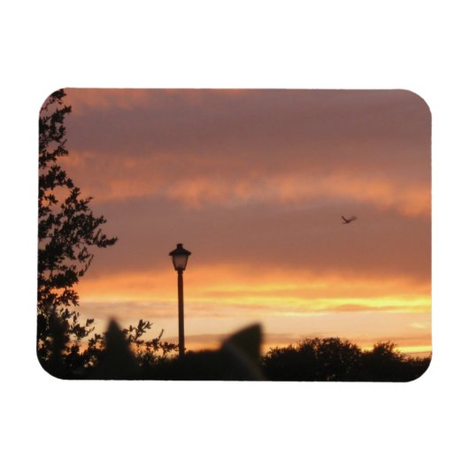 Magnet Flexible Poste d'ampoule et oiseau (Horizontal)