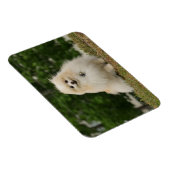 Magnet Flexible Poste de poméraning (Côté Droit)