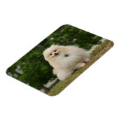 Magnet Flexible Poste de poméraning (Côté Gauche)