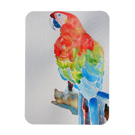 Magnet Flexible Poster d'aquarelle rouge jaune bleu Macaw Parrot (Vertical)
