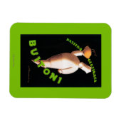 Magnet Flexible Poster promotionnel Buitoni Pasta (Horizontal)