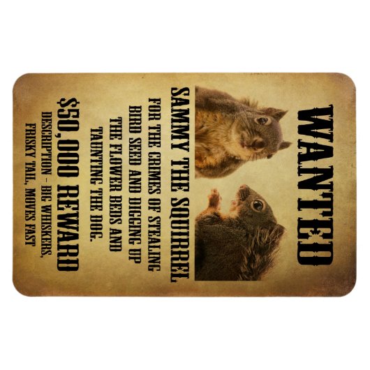 Magnet Flexible Poster Recherché avec écureuil (Horizontal)