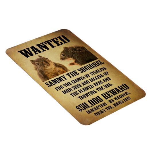 Magnet Flexible Poster Recherché avec écureuil (Côté Droit)