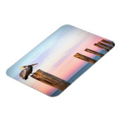 Magnet Flexible Posts & a Pelican | Fort Myers Beach, Floride (Côté Gauche)