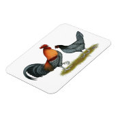 Magnet Flexible Poule bleue du Delaware (Côté Gauche)