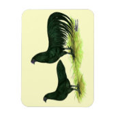 Magnet Flexible Poules Sumatra noires (Vertical)