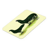 Magnet Flexible Poules Sumatra noires (Côté Gauche)