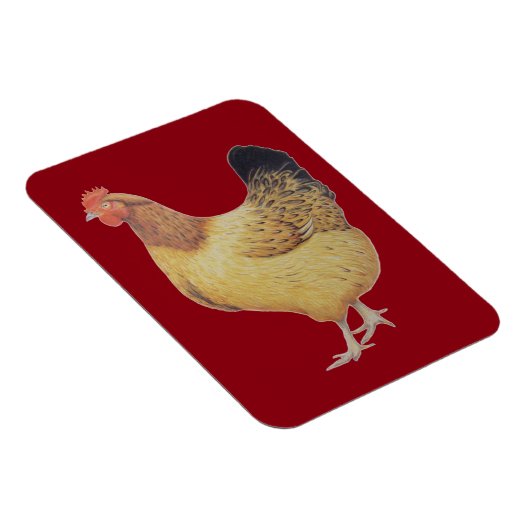 Magnet Flexible Poulet 2012 (Côté Droit)