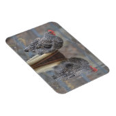 Magnet Flexible Poulet Avec Réflexions (Côté Droit)