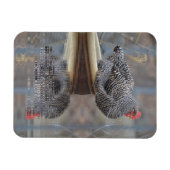 Magnet Flexible Poulet Avec Réflexions (Horizontal)