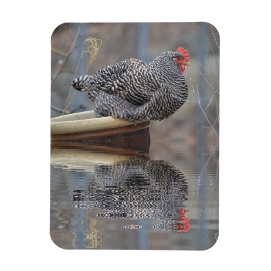 Magnet Flexible Poulet Avec Réflexions (Vertical)
