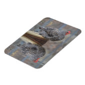 Magnet Flexible Poulet Avec Réflexions (Côté Gauche)