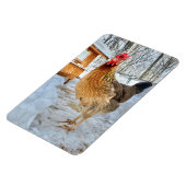 Magnet Flexible Poulet dignifié (Côté Gauche)