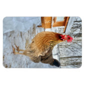 Magnet Flexible Poulet dignifié (Horizontal)