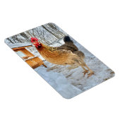 Magnet Flexible Poulet dignifié (Côté Droit)