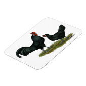 Magnet Flexible Poulets Augsburger (Côté Gauche)