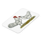 Magnet Flexible Poulets blancs Austra (Côté Gauche)