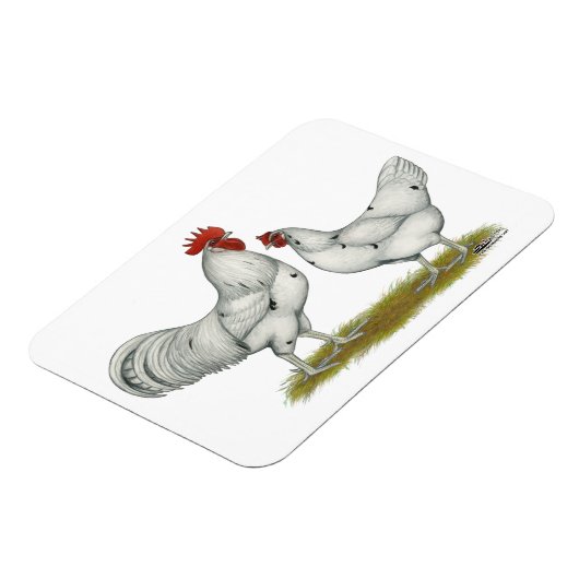 Magnet Flexible Poulets blancs Austra (Côté Gauche)