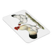 Magnet Flexible Poulets de la rivière Indian (Côté Droit)