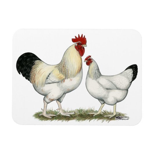 Magnet Flexible Poulets de la rivière Indian (Horizontal)
