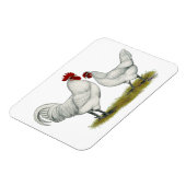 Magnet Flexible Poulets de pieds bleus (Côté Gauche)