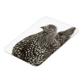 Magnet Flexible Poulets dorés Wyandotte (Côté Gauche)