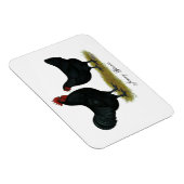 Magnet Flexible Poulets géants Jersey (Côté Droit)