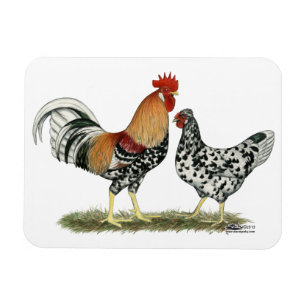 Magnet Flexible Poulets islandais