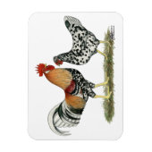 Magnet Flexible Poulets islandais (Vertical)