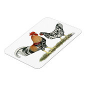 Magnet Flexible Poulets islandais (Côté Gauche)