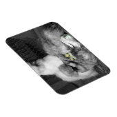 Magnet Flexible Poulets noirs et blancs en soie avec poulets jaune (Côté Droit)