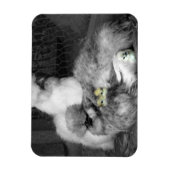 Magnet Flexible Poulets noirs et blancs en soie avec poulets jaune (Vertical)