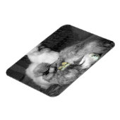 Magnet Flexible Poulets noirs et blancs en soie avec poulets jaune (Côté Gauche)