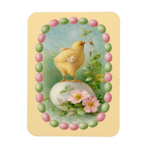 Magnet Flexible Poussin printanier avec bordure d'œuf pastel