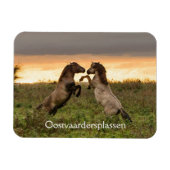 Magnet Flexible Pranser des chevaux sauvages dans l'aimant Oostvaa (Horizontal)