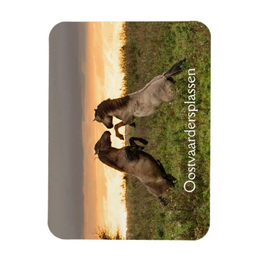 Magnet Flexible Pranser des chevaux sauvages dans l'aimant Oostvaa (Vertical)