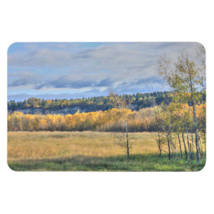 Magnet Flexible Pré avec Aspens