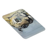 Magnet Flexible Prédateur (Côté Droit)