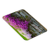 Magnet Flexible Pretty Rose Phlox Gratitude (Côté Droit)