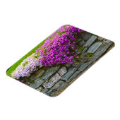 Magnet Flexible Pretty Rose Phlox Gratitude (Côté Gauche)