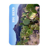 Magnet Flexible Pricky Pear Cactus Big Bend National Park (Vertical)